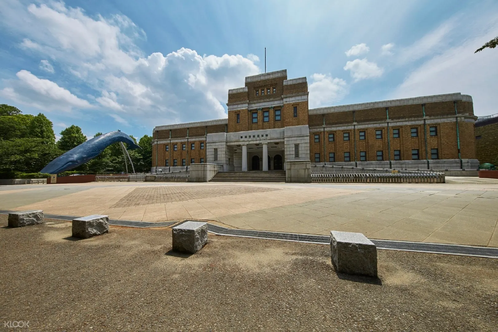 National Museum Of Nature And Science Ticket In Tokyo Japan Klook客路中国 National Museum Of Nature And Science Ticket In Tokyo Japan Klook客路中国