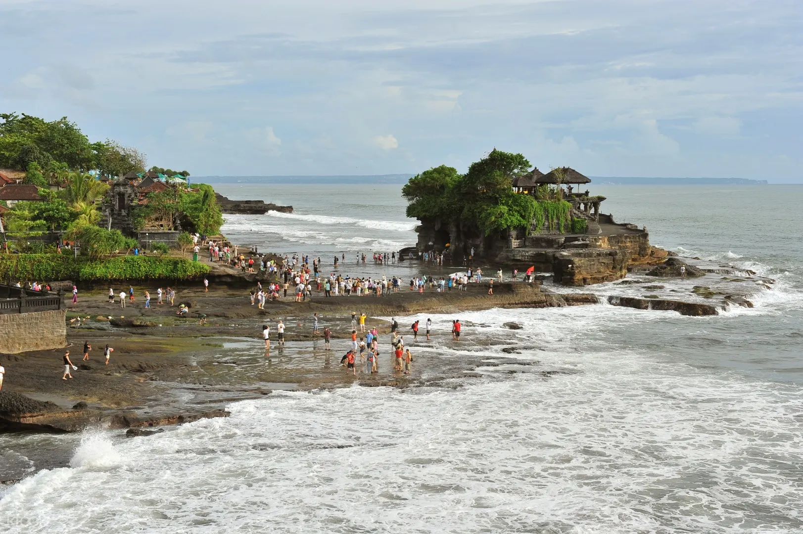 Transportasi Bersama Dari Bali Ke Pura Tanah Lot Oleh Kura Kura Di Bali Indonesia