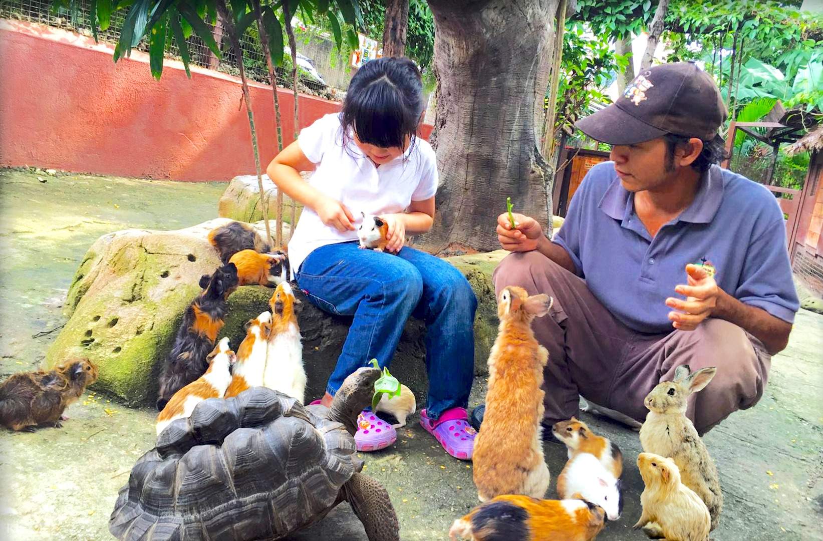 Up To 10 Off Kl Tower Mini Zoo Discount Ticket In Kuala Lumpur Malaysia Klook Singapore