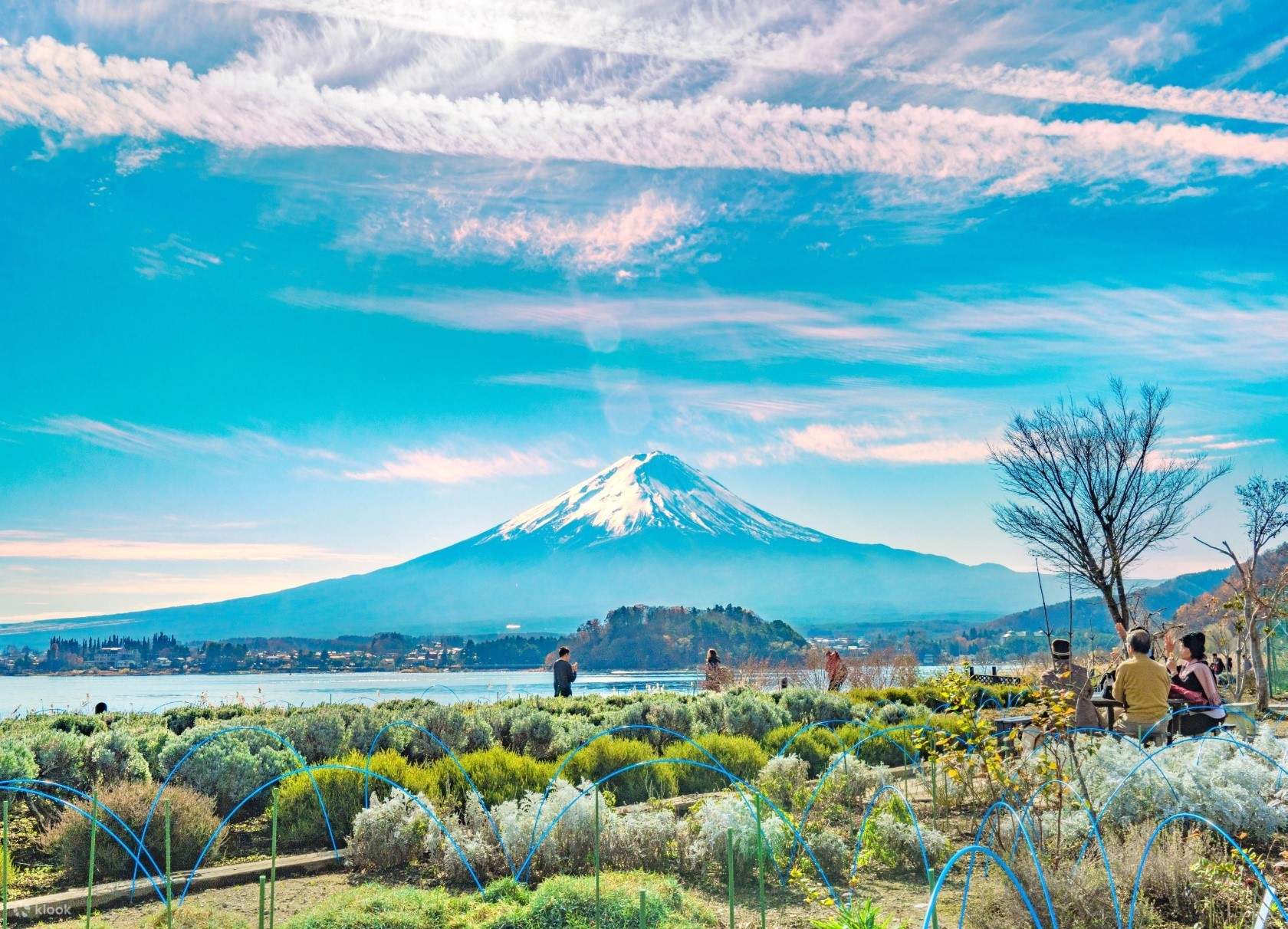 なぜ富士山は世界遺産になったのか　＋　奇跡の山富士山DVD