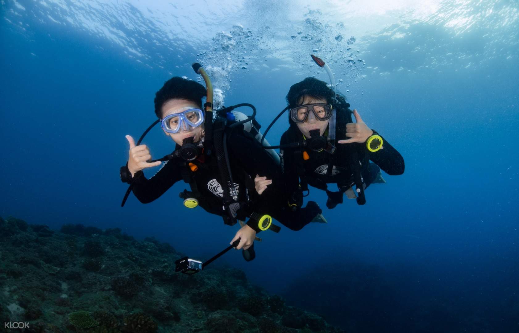 PADI Open Water Diver - Klook Australia