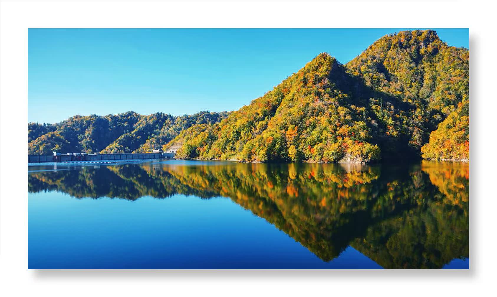 「花と太陽と雨と」イメージ・トラックス Water～for relaxing … Amazon.co.jp: ウォーター ～フォー・リラクシングタイム～「花