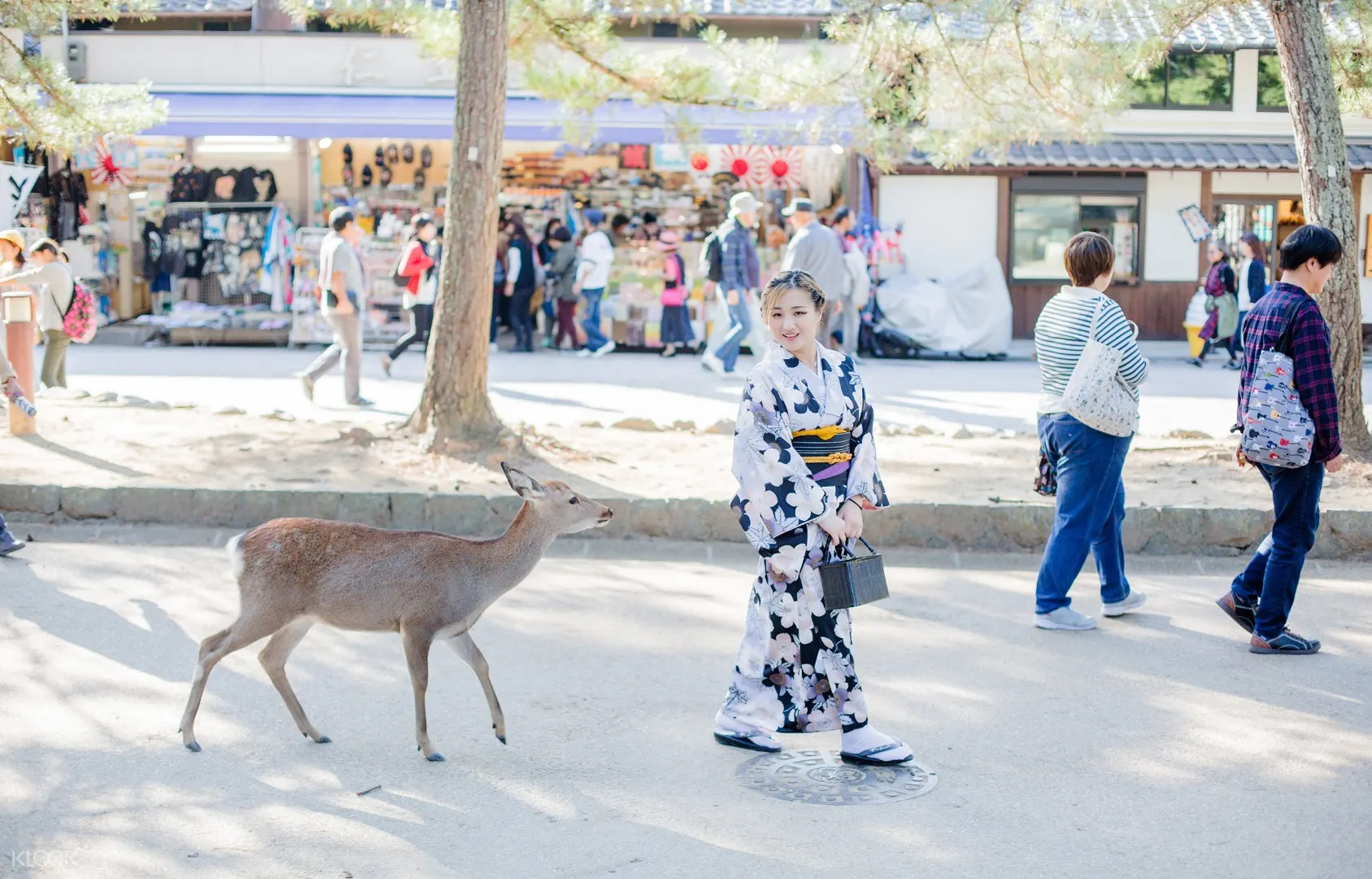 含京都至奈良单程接载 奈良亲亲小鹿 和服体验 Klook客路中国