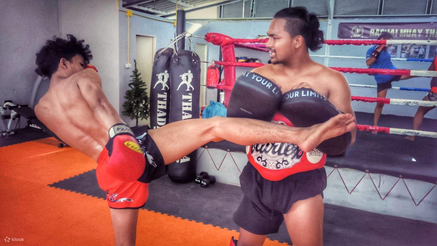 Muay Thai Short Boxing Thaïlande Short Kickboxing MMA Boxe Sport  Entraînement Gym, rouge, M : : Mode