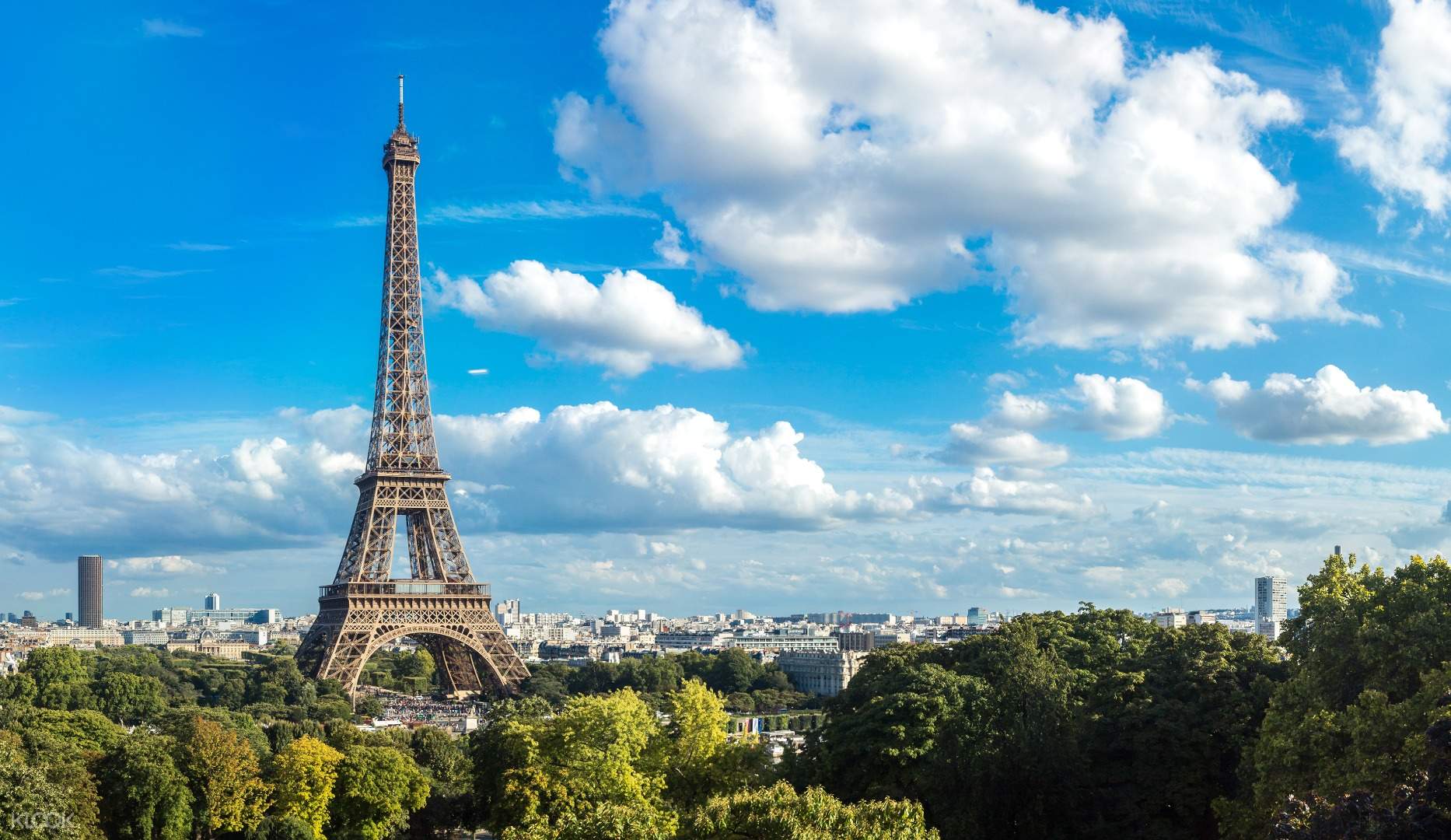 Eiffel Tower Tour With Top Level Summit Access