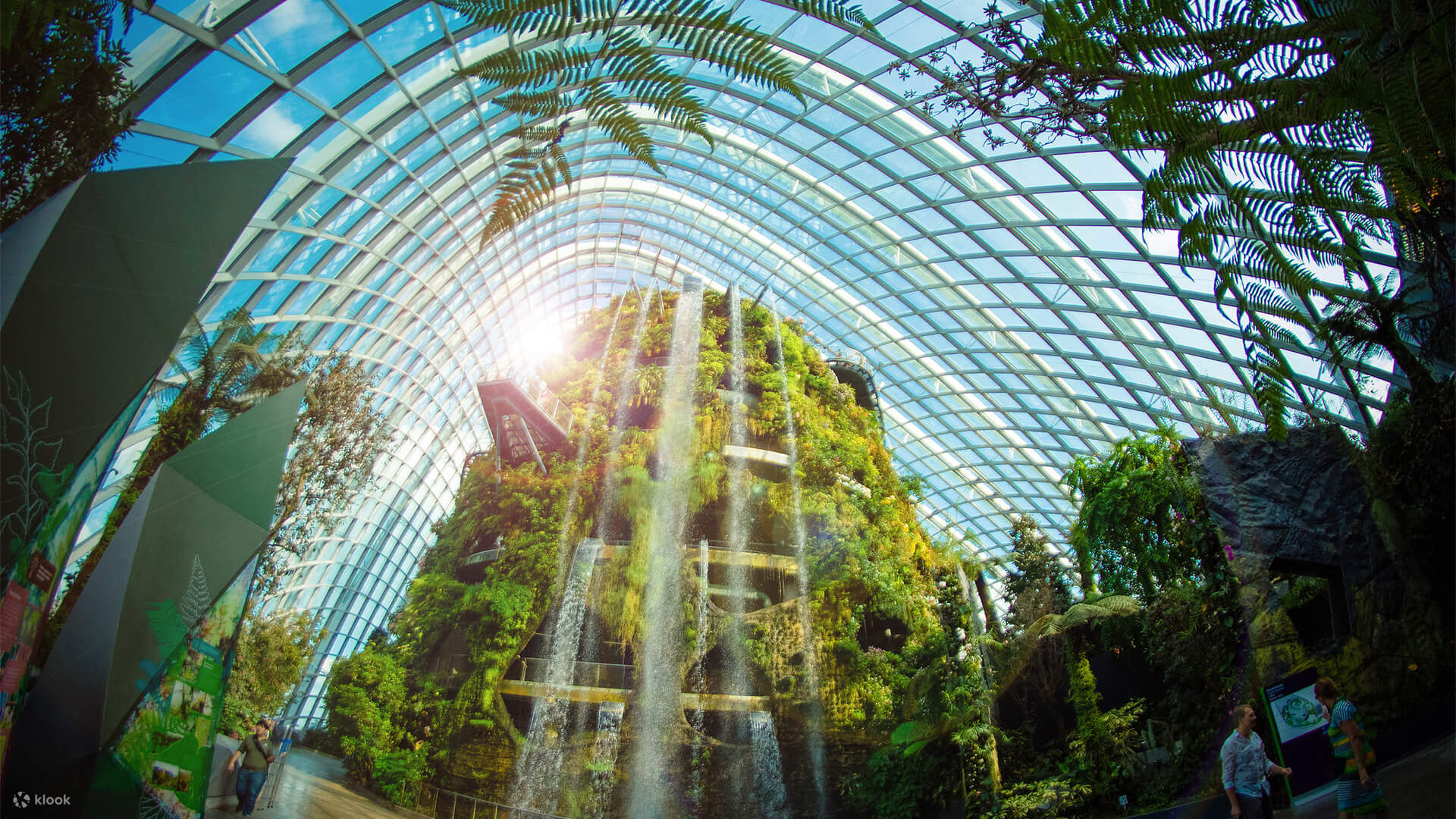 Новая тропическая галерея в москве. Оранжерея облачный лес Сингапур. Gardens by the Bay Сингапур. Сингапур, оранжерея 'Flower Dome'.. Сингапур сады у залива оранжереи.