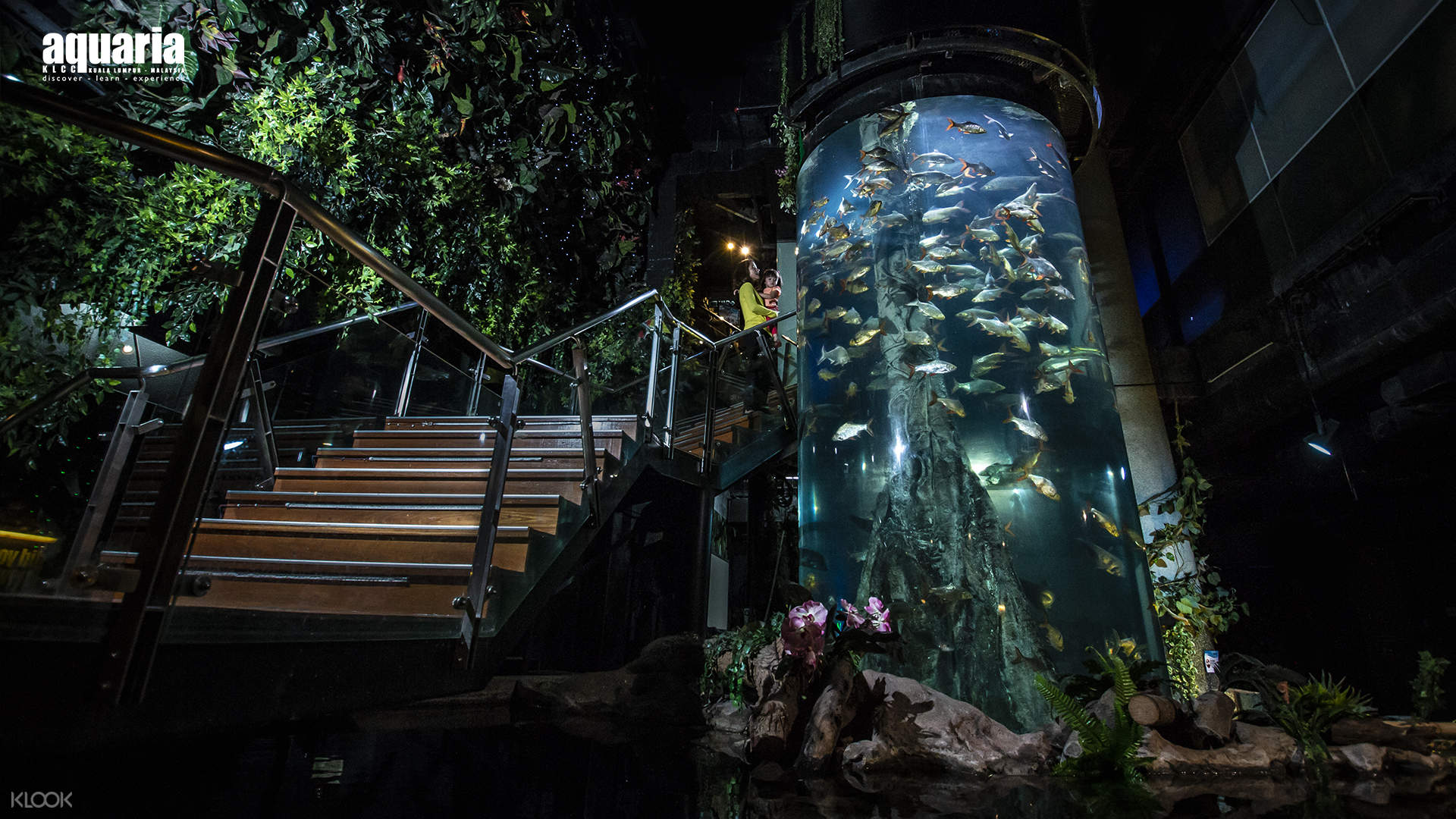 Aquaria Klcc Ticket In Kuala Lumpur Klook Malaysia Visit aquaria klcc in kuala lumpur, ranked as one of the top five aquariums in asia. aquaria klcc ticket in kuala lumpur skip the line
