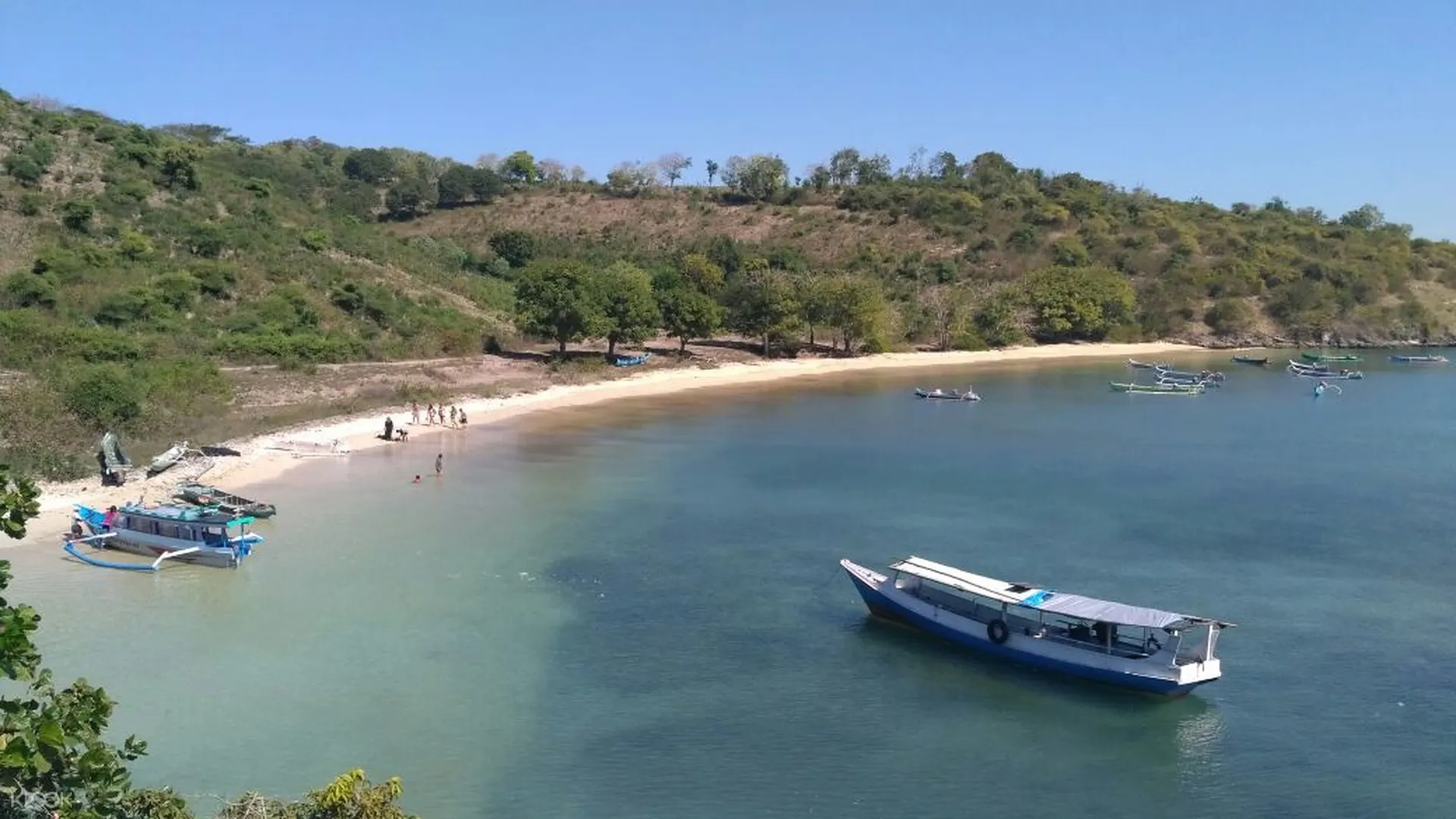 Pulau Pasir Pink Beach And Semangko Beach Private Tour In Lombok