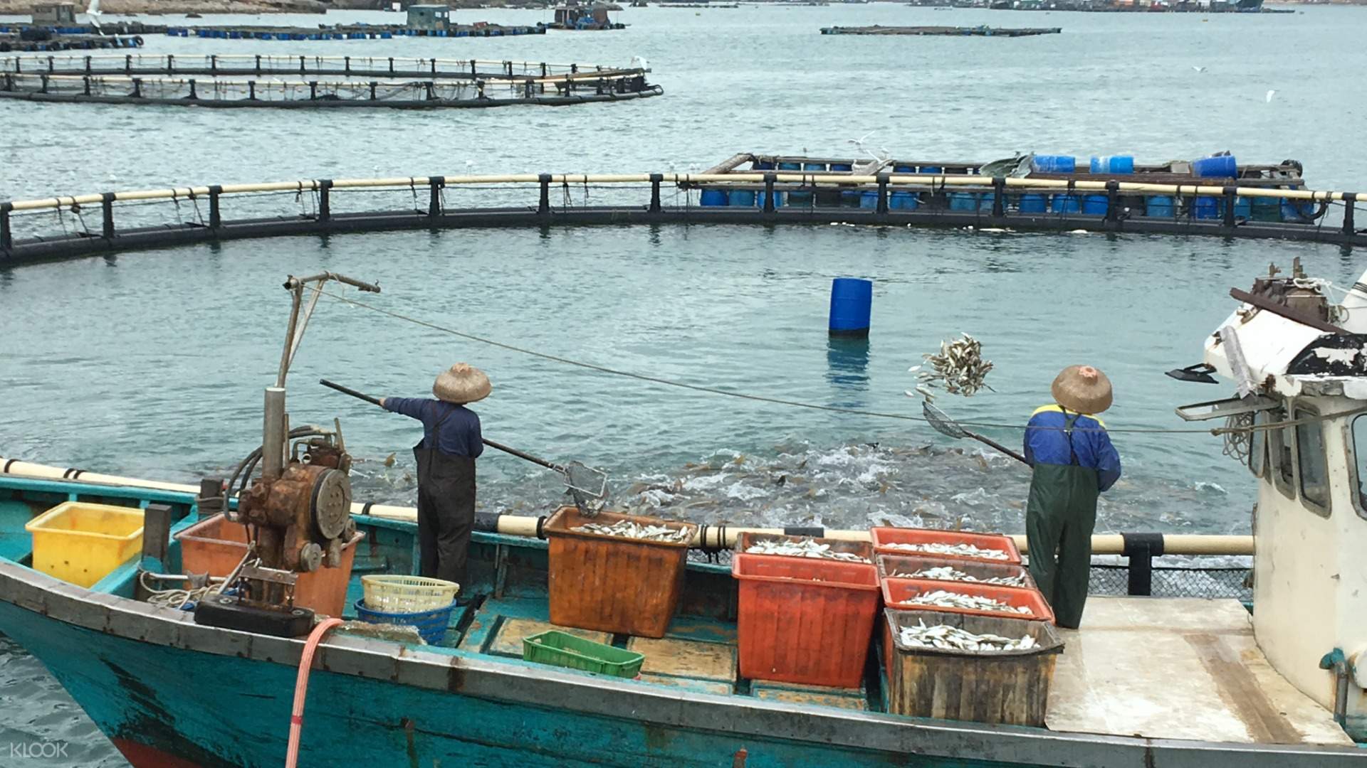 香港南丫島漁民文化體驗之旅 Klook客路香港