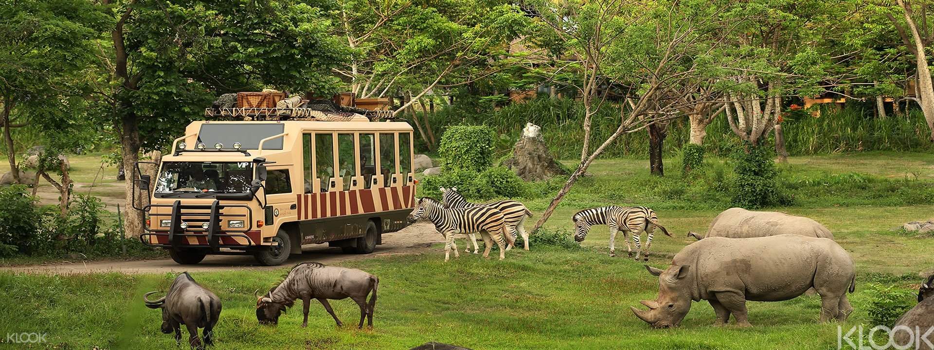 Bali Safari and Marine Park 'Rhino' with Transfers