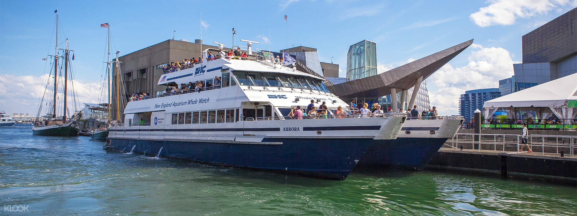 new england aquarium whale watch promo code 2019