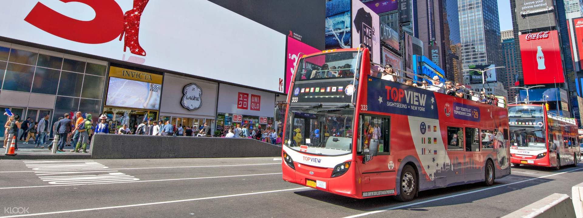 New York TopView Sightseeing Bus Pass