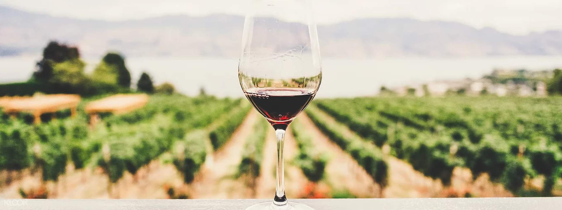 Yarra Valley Wine Tour from Melbourne, Australia Klook Australia