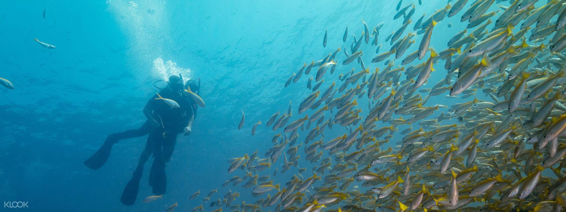 Koh Lipe Full Day Scuba Diving