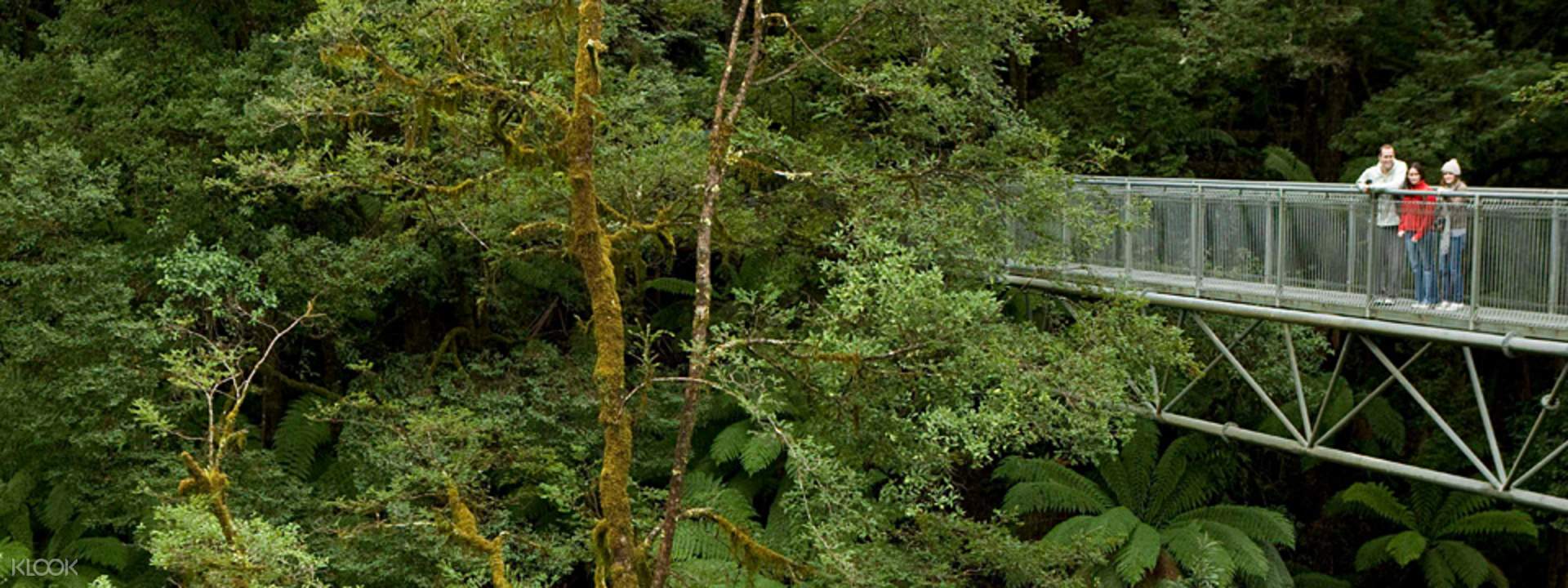 Otway Fly Treetops Walk Discount Entry Klook Malaysia
