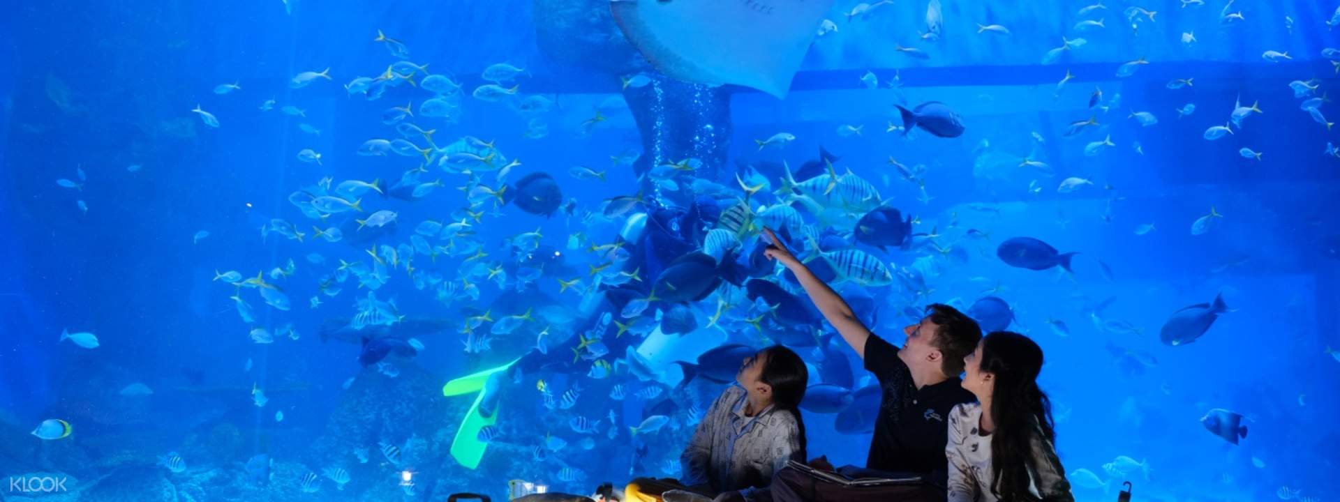Jakarta Aquarium Ticket - Klook Australia