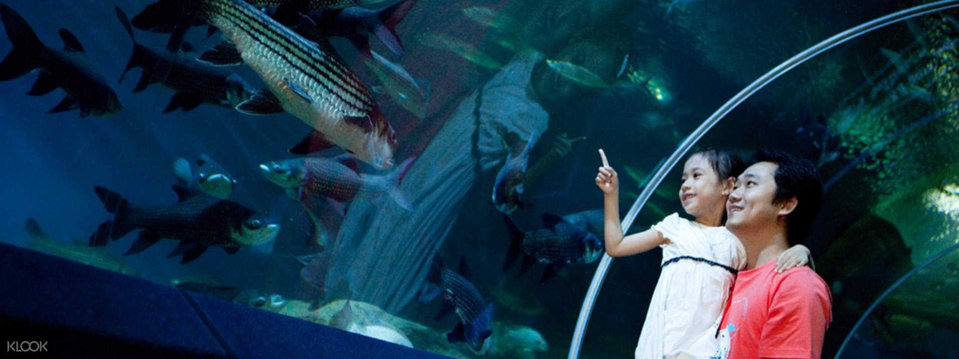 บัตรเข้าชมอันเดอร์วอเตอร์เวิลด์ พัทยา (Underwater World Pattaya) สำหรับผู้เข้าชมชาวไทย