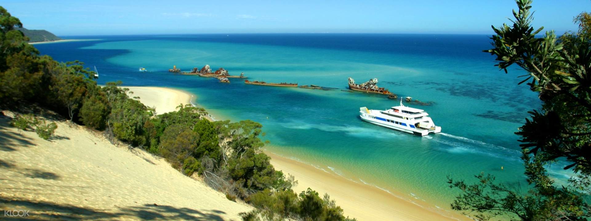 moreton island day tours from gold coast