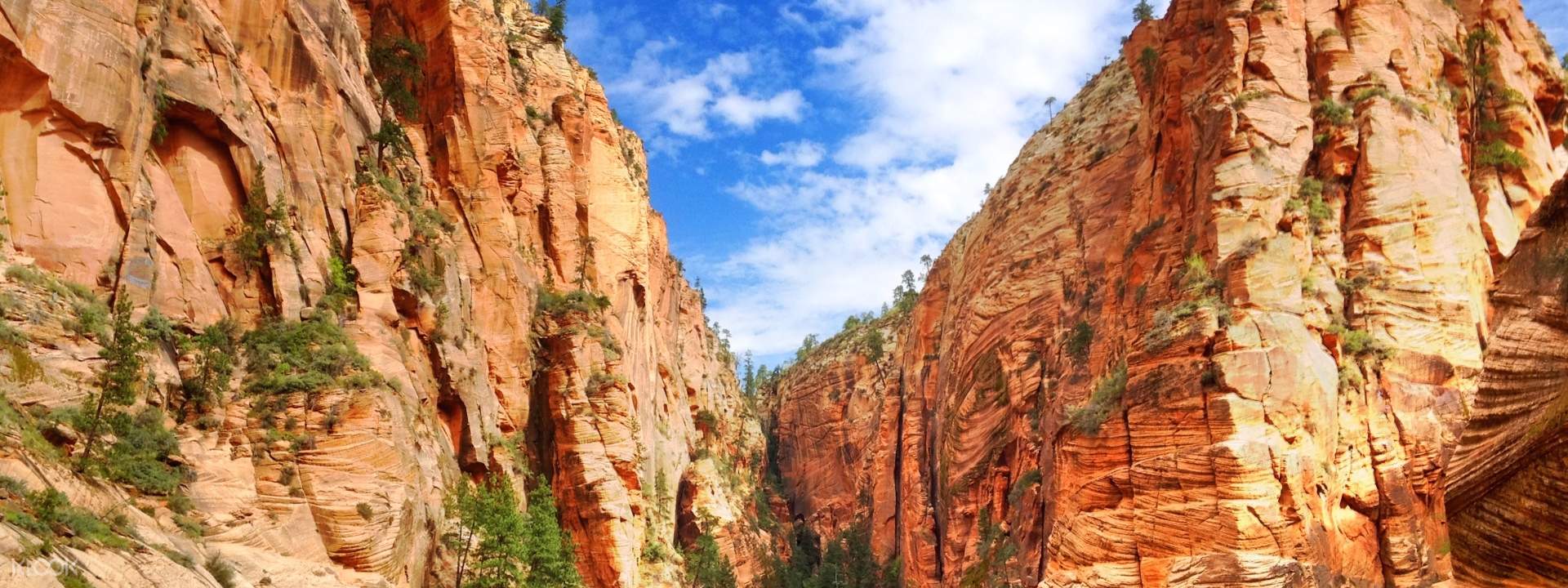 Up to 10% Off | Zion Canyon National Park South Rim ...