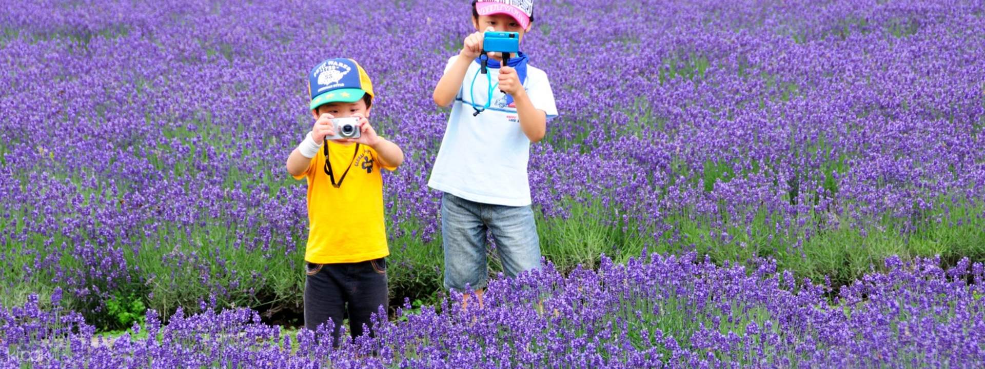 Tambara Lavender Park, Nyu Lake Sunflower Field, and Peach Picking Day