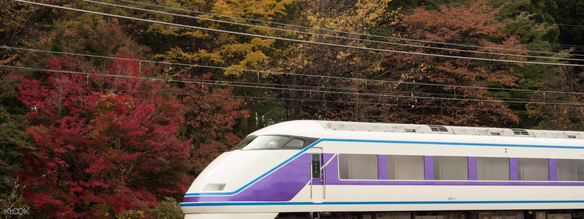 Thẻ Nikko Pass - Đi từ Trung tâm Tokyo