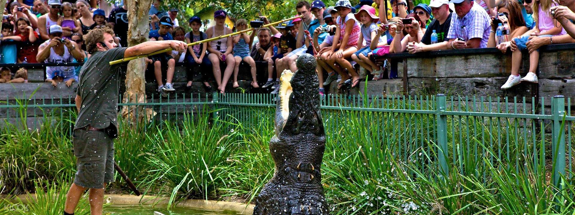 The Australian Reptile Park Admission Ticket