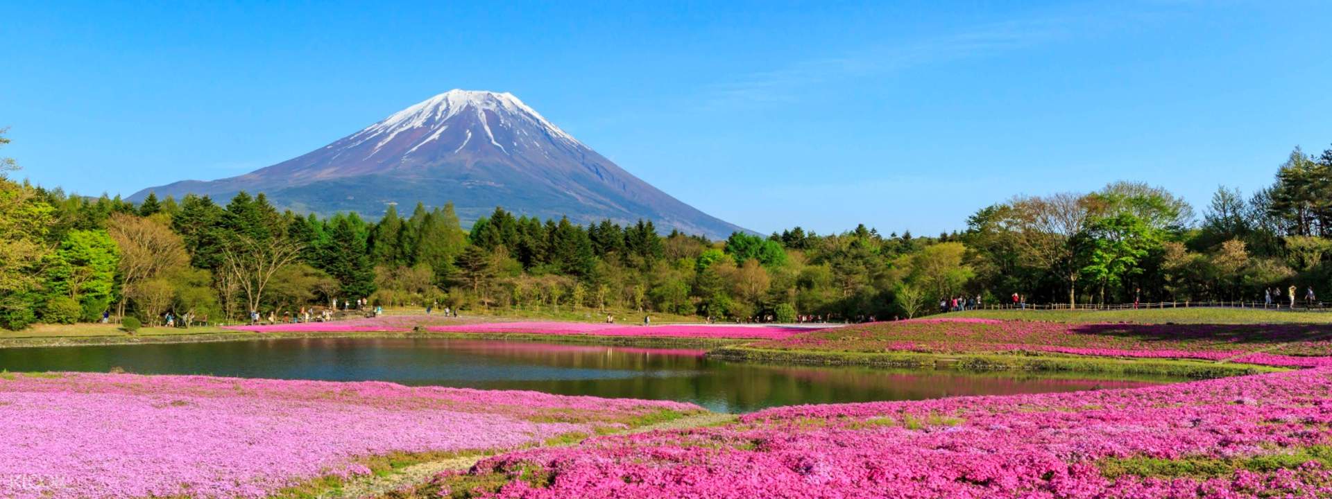 Fuji Area Sightseeing, AllYouCanEat Fruits & Mt. Kachi Kachi Ropeway