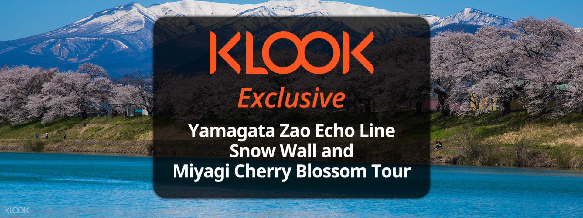 Yamagata Zao Echo Line Snow Wall and Miyagi Cherry Blossom ...