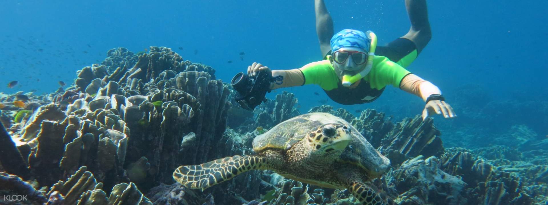 similan islands snorkeling tours