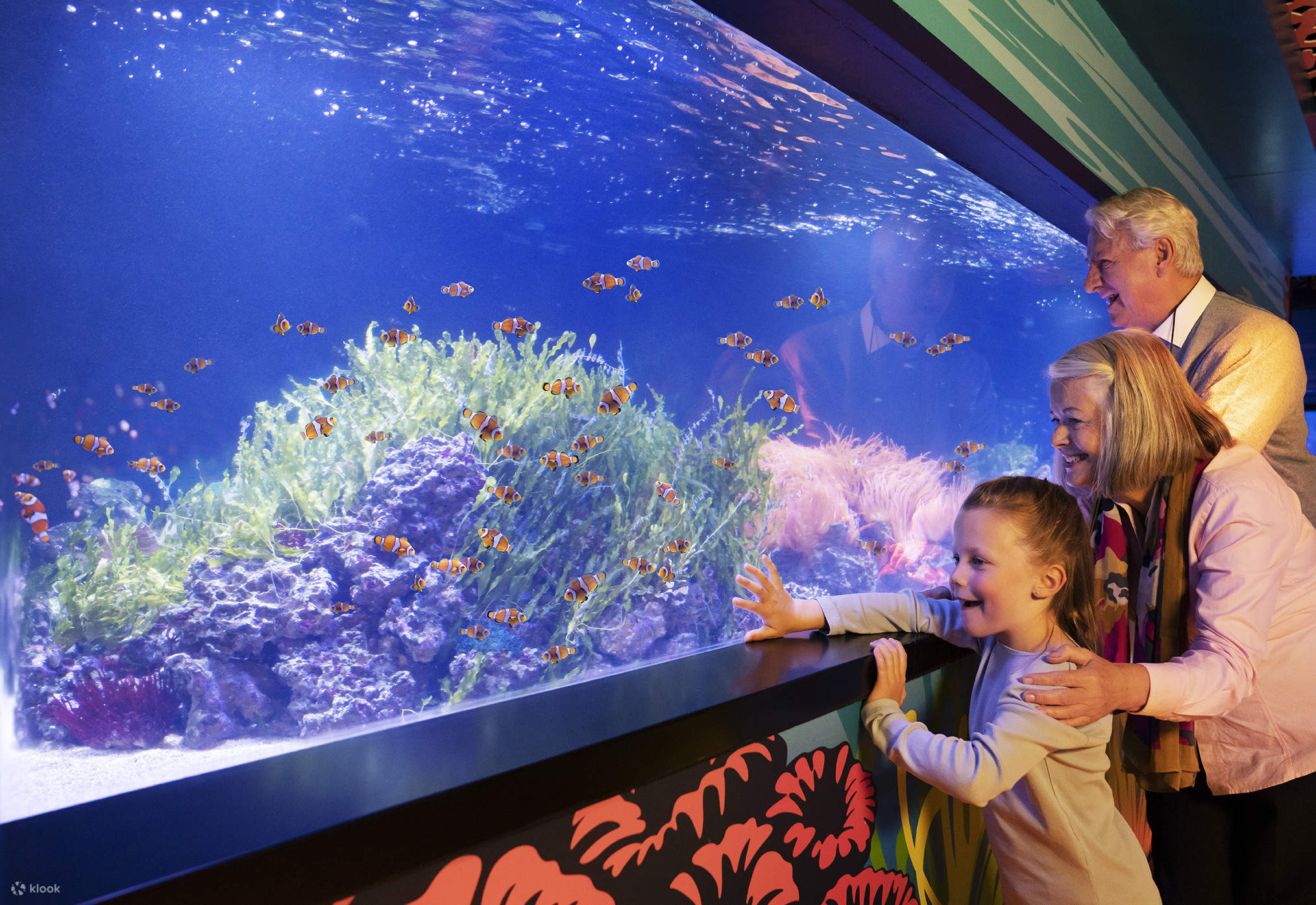 倫敦海洋生物水族館門票 Klook 客路
