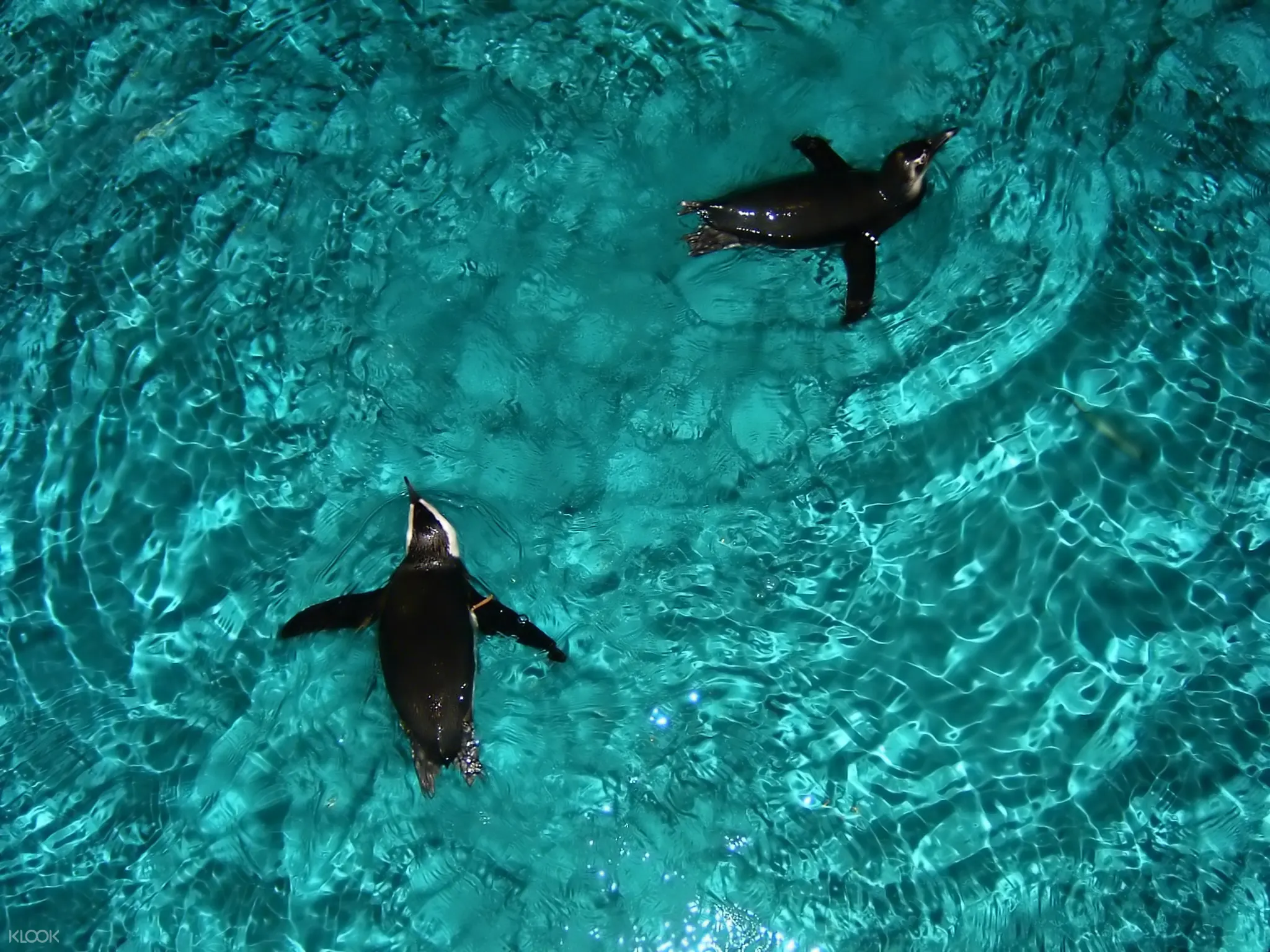 new england aquarium promo code 2018