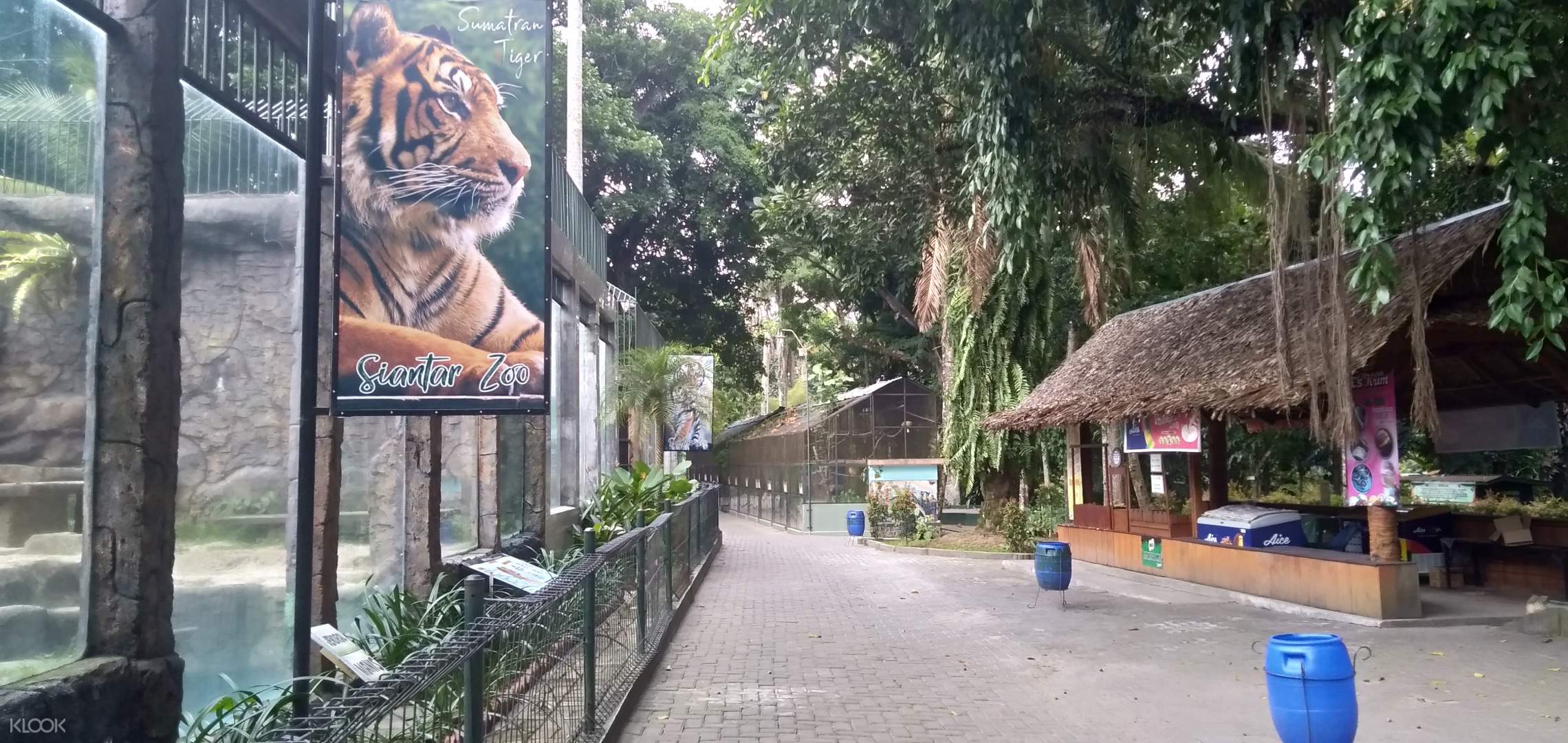 Harga Tiket Masuk Medan Zoo 2021 Harga Tiket Masuk