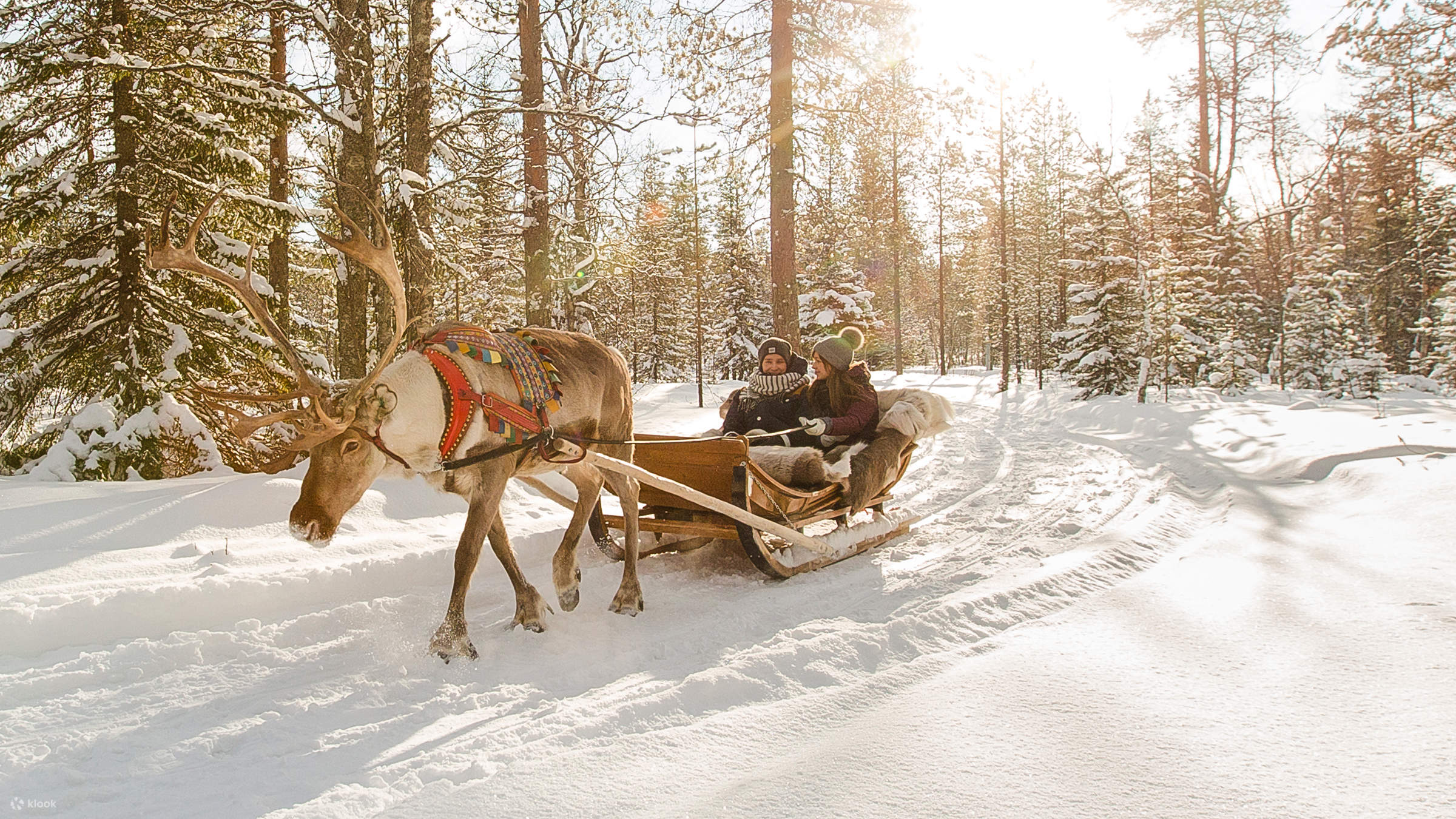 Rovaniemi tours foto - Blackdragontours.com