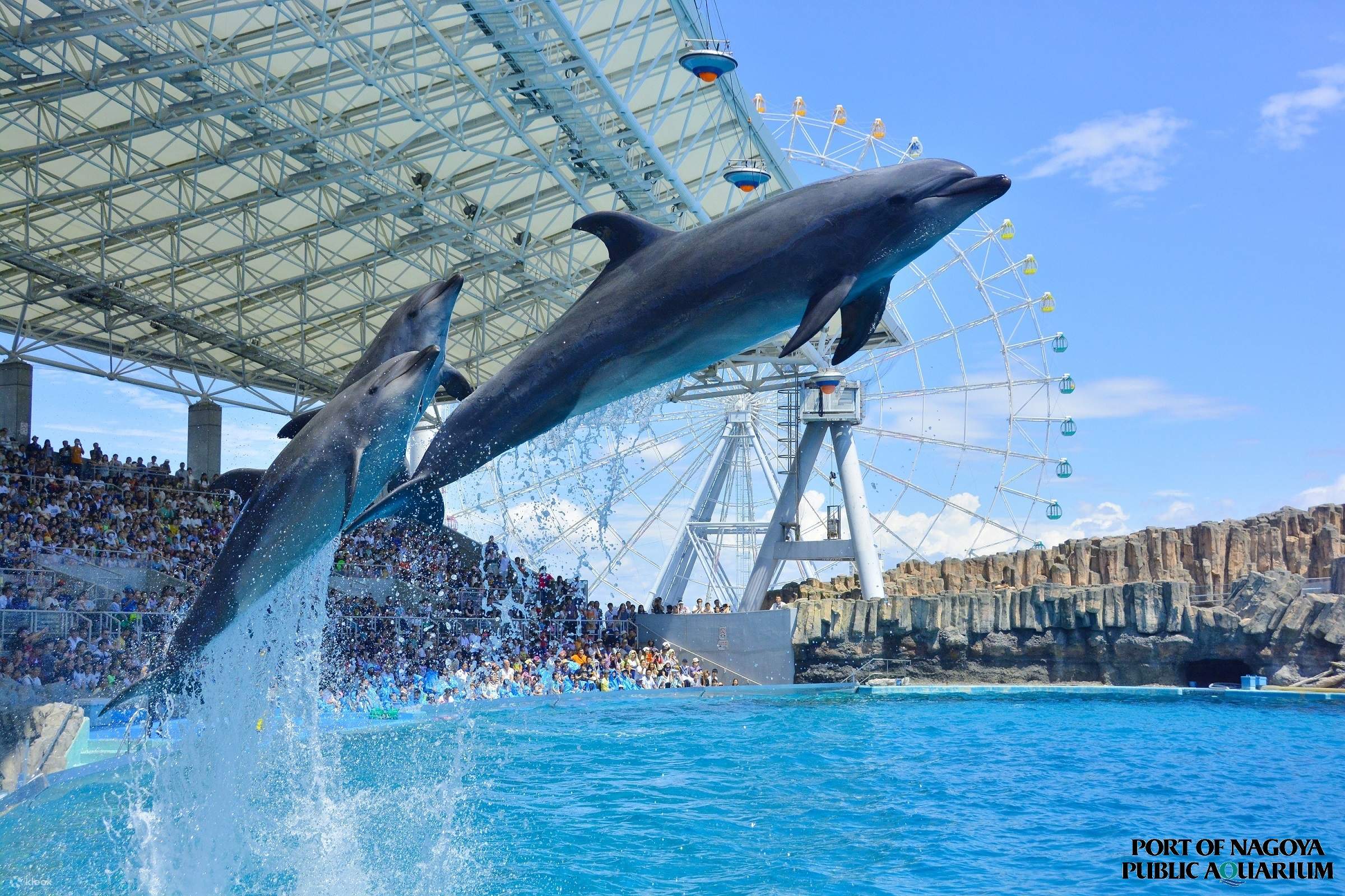 名古屋港水族館 入館チケットの予約 Klook