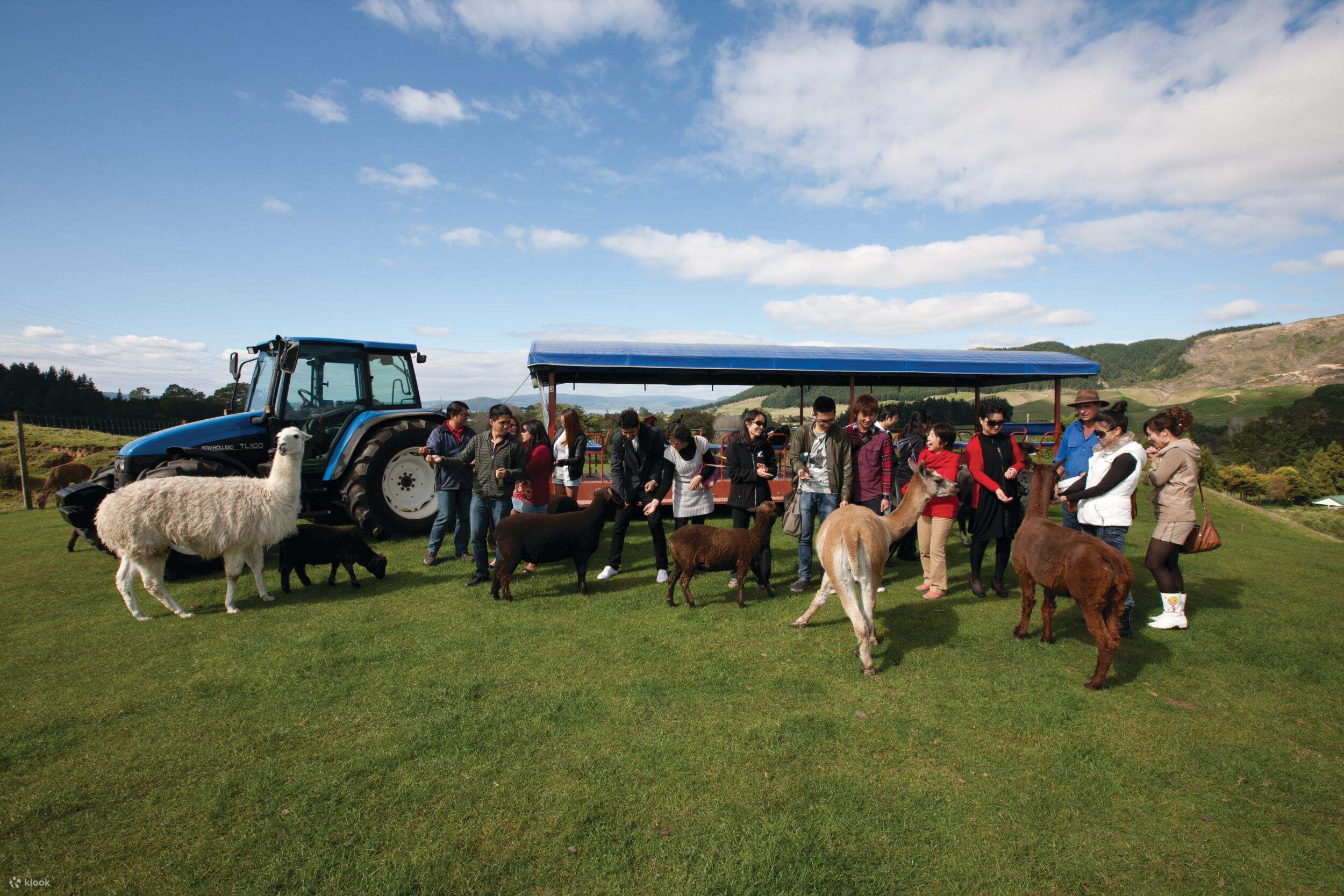 АГРОДОМ Agrodome новая Зеландия