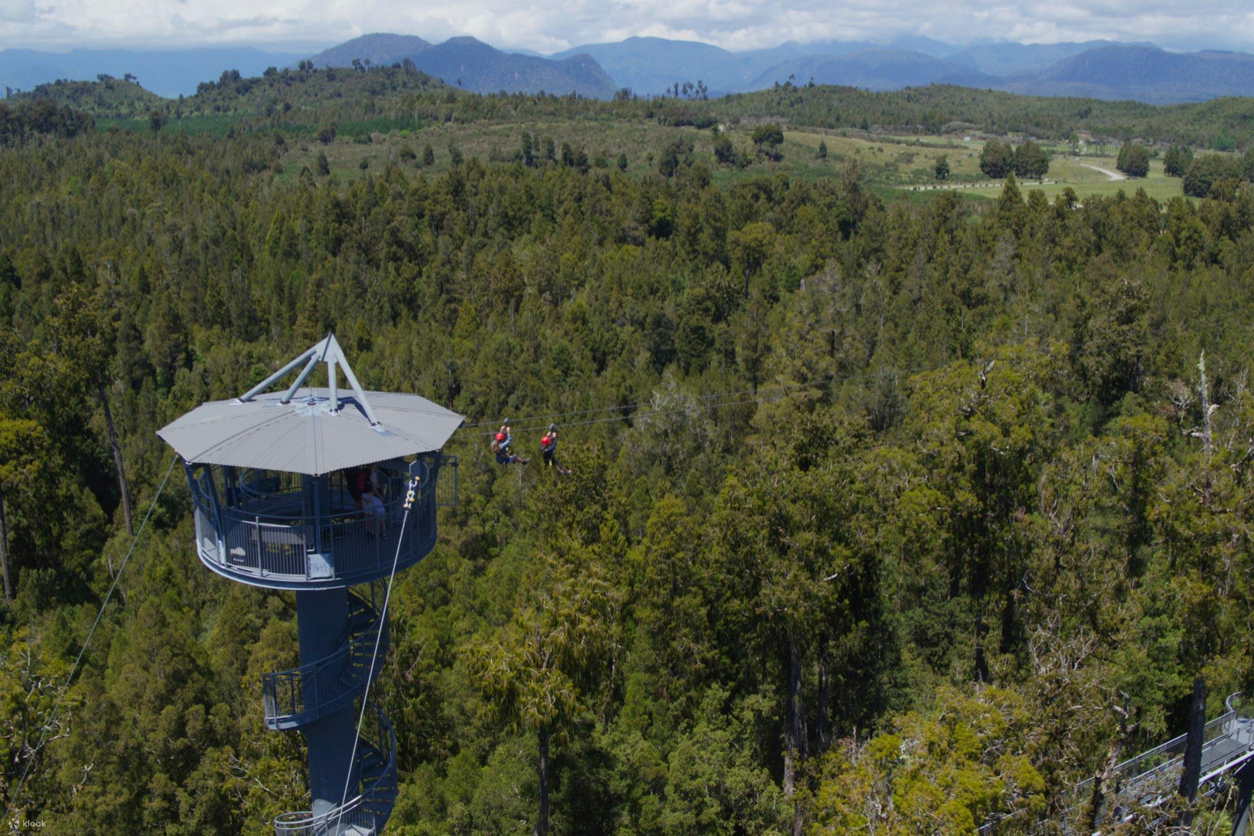 West Coast Tree-top Tower Zipline u0026 Walkway in Hokitika - Klook United  States