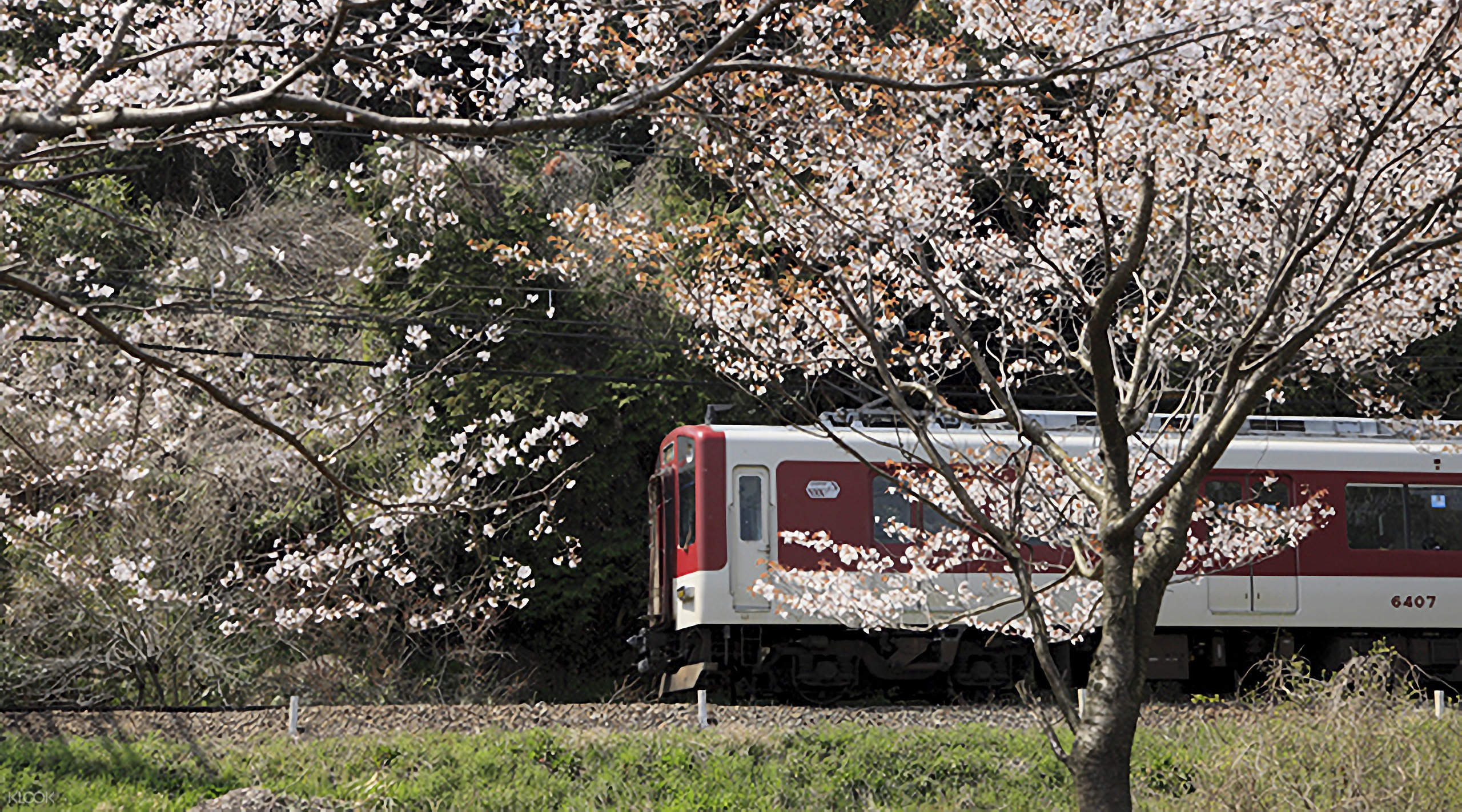 關西交通票券 近鐵電車周遊券 1日 2日 5日 5日plus Klook客路台灣 關西交通票券 近鐵電車周遊券 1日 2日 5日 5日plus Klook客路台灣