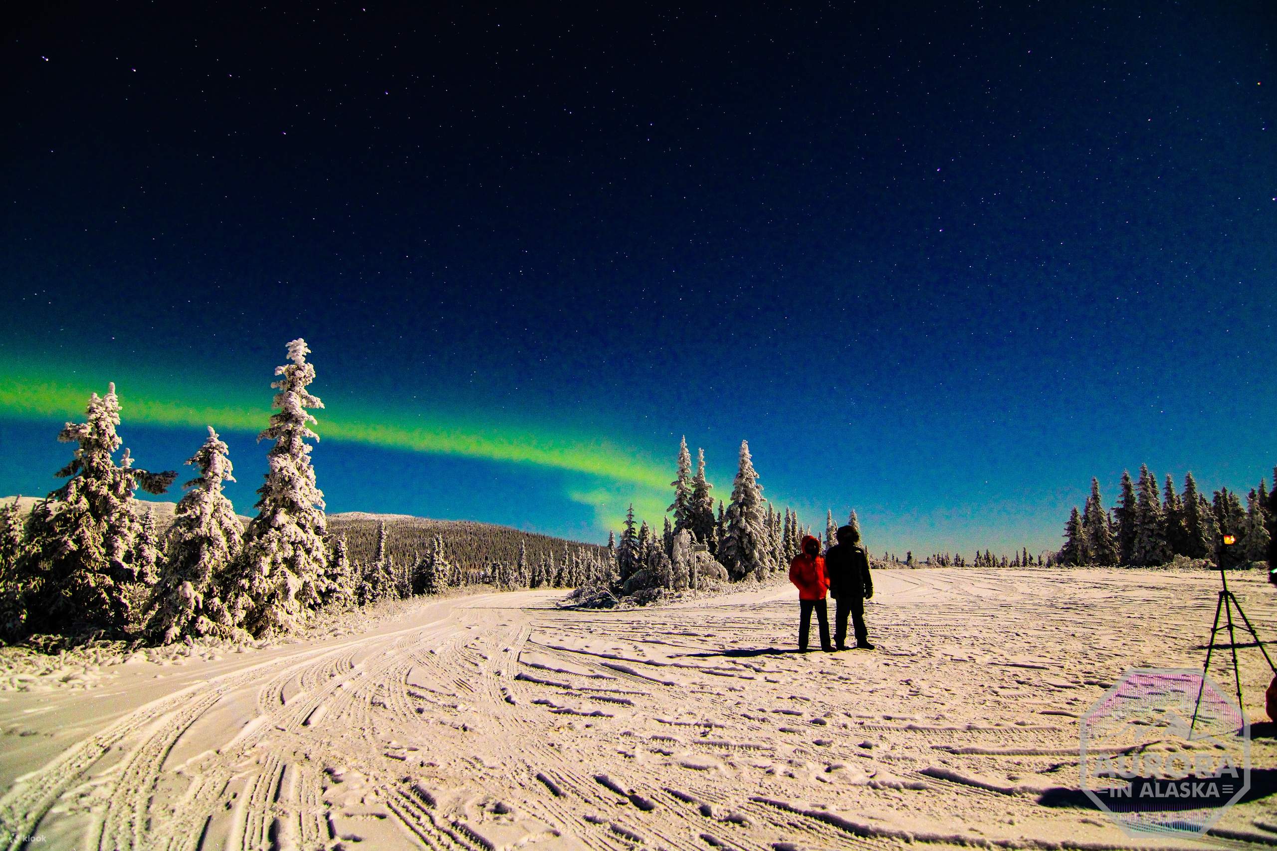 Incredible Aurora Viewing Adventure - Klook - Image 4