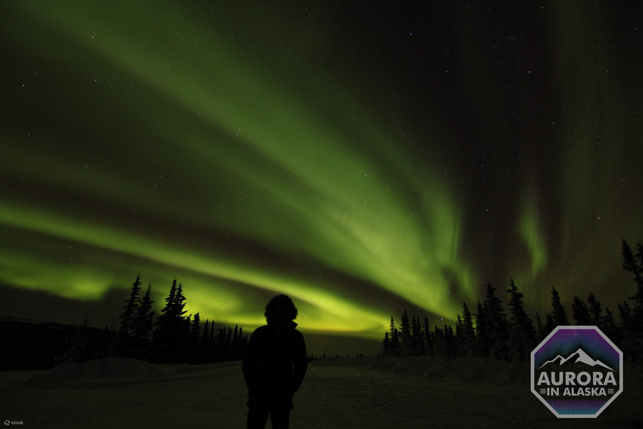 Incredible Aurora Viewing Adventure - Klook - Image 3