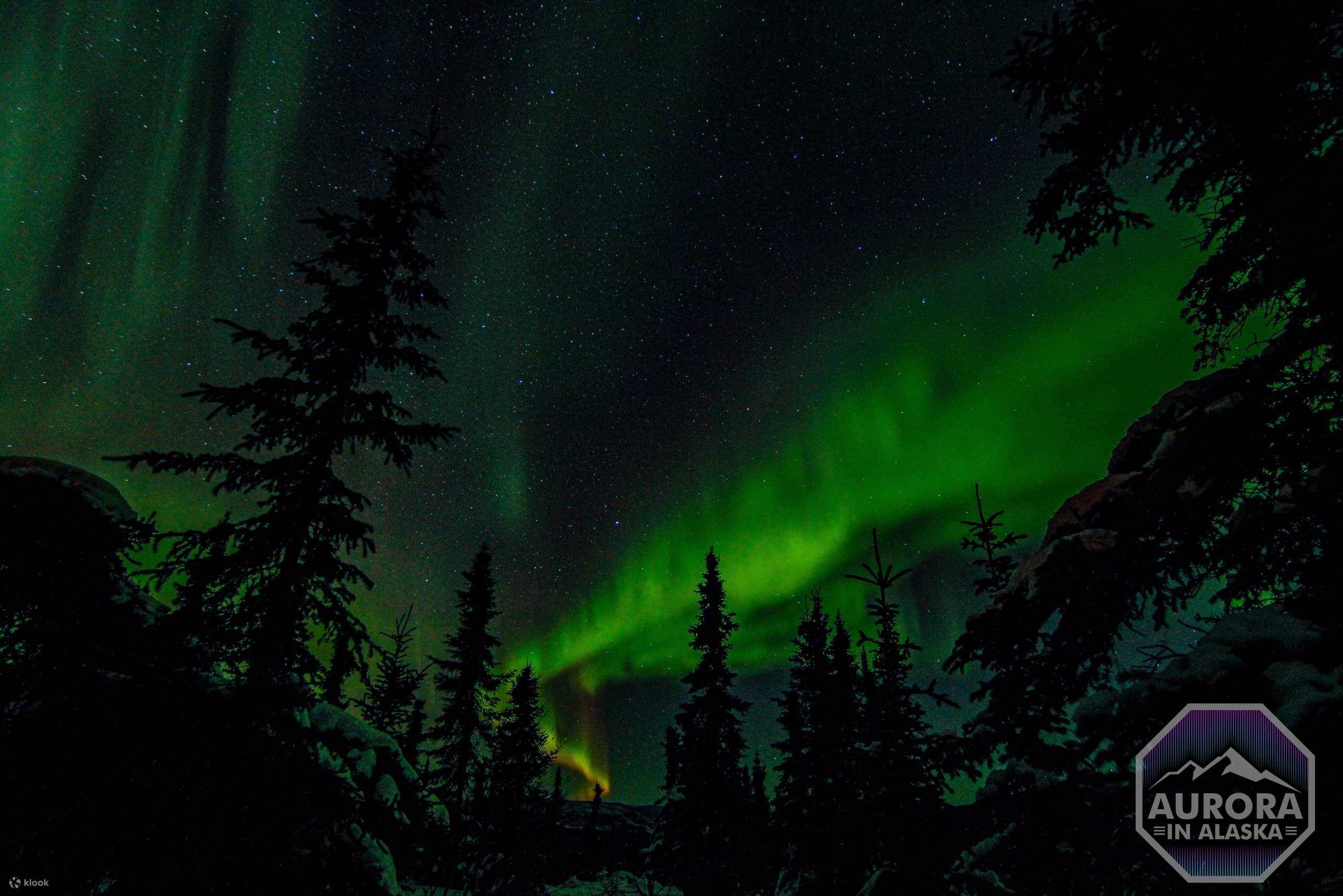 Incredible Aurora Viewing Adventure - Klook - Image 10