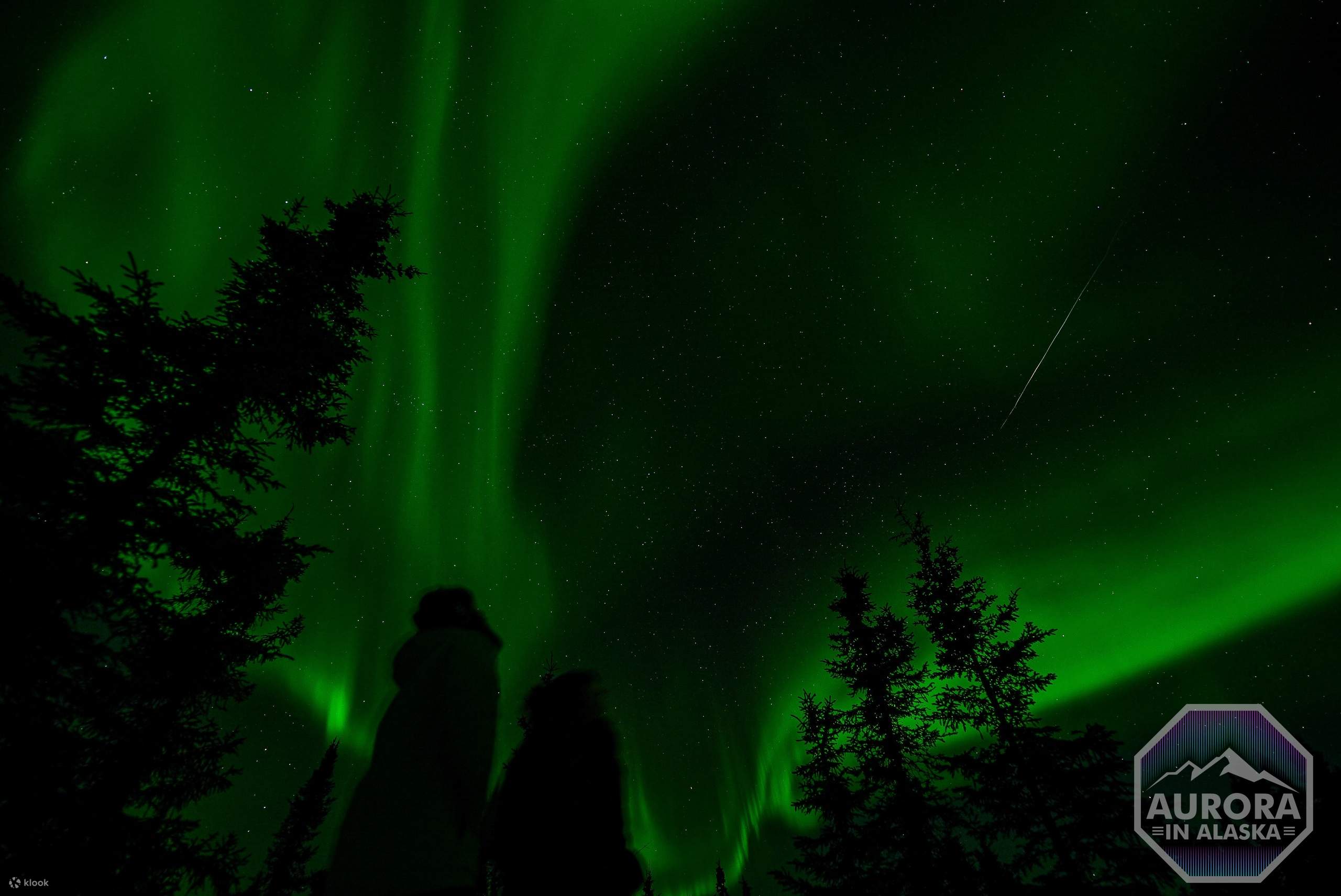 Incredible Aurora Viewing Adventure - Klook - Image 7