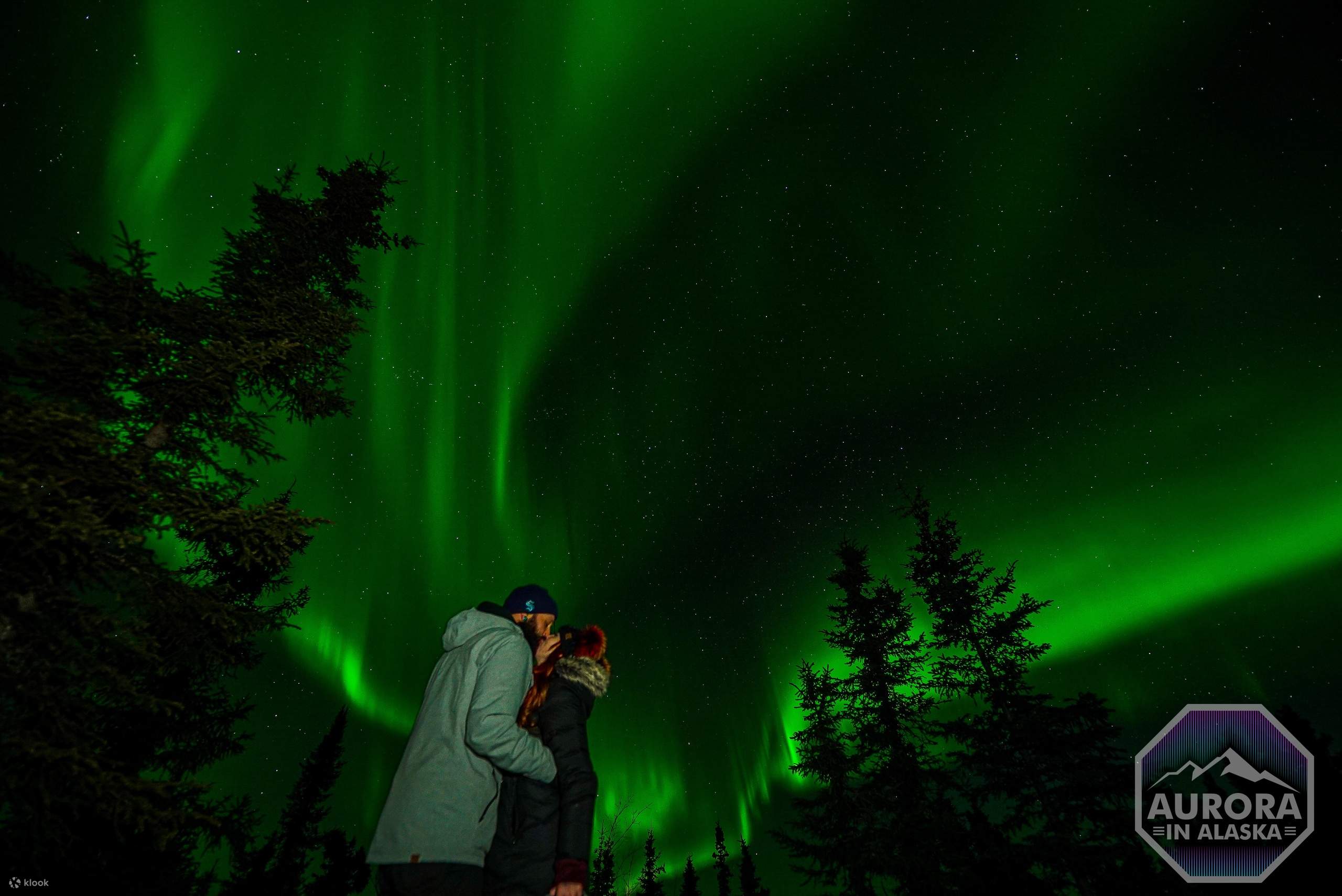 Incredible Aurora Viewing Adventure - Klook - Image 8