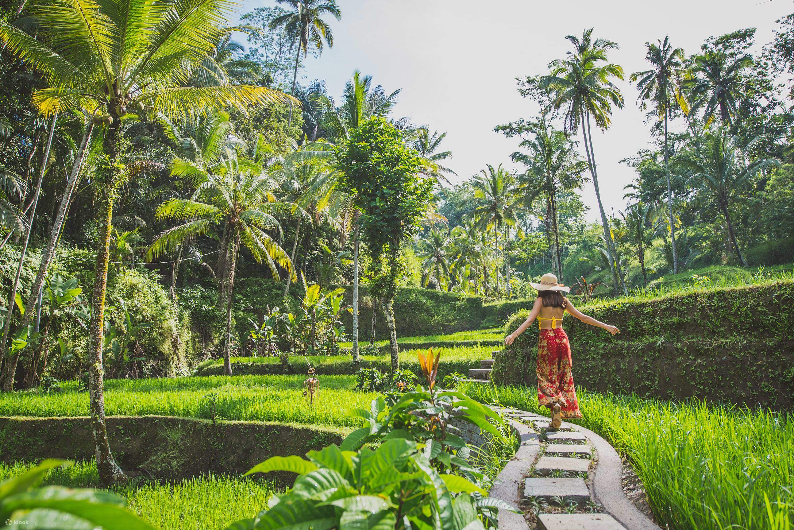 Visit bali. Лучшее время года на бали. Water temple бали. Ayung resort ubud 5. Пляж никко бали.
