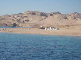 Avventura guidata di mezza giornata a Ras Mohamed in autobus - Sharm El Sheikh