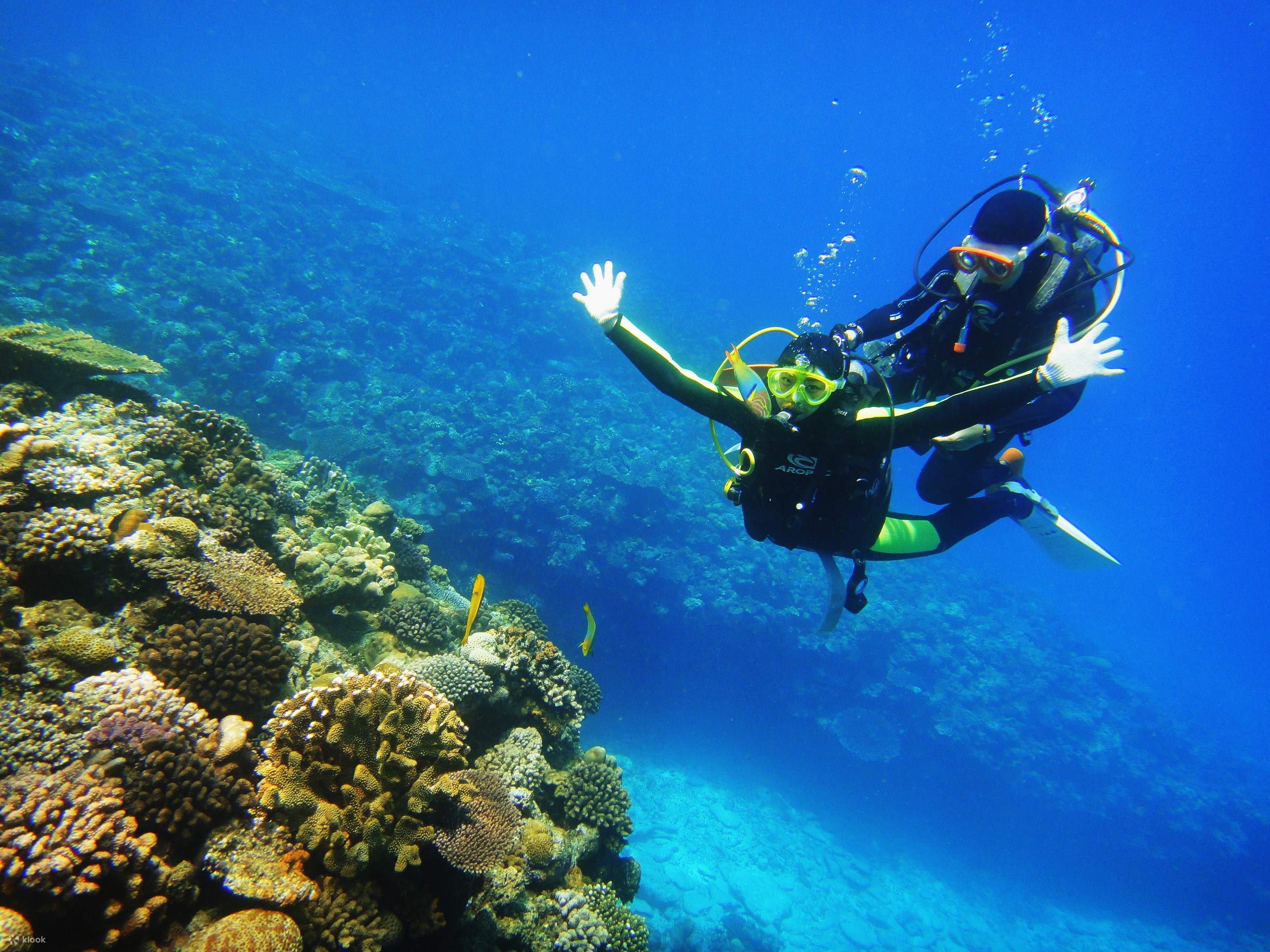 Onna Village Blue Cave Snorkel, подводное плавание, SUP и парасейлинг с  трансфером - Klook Россия