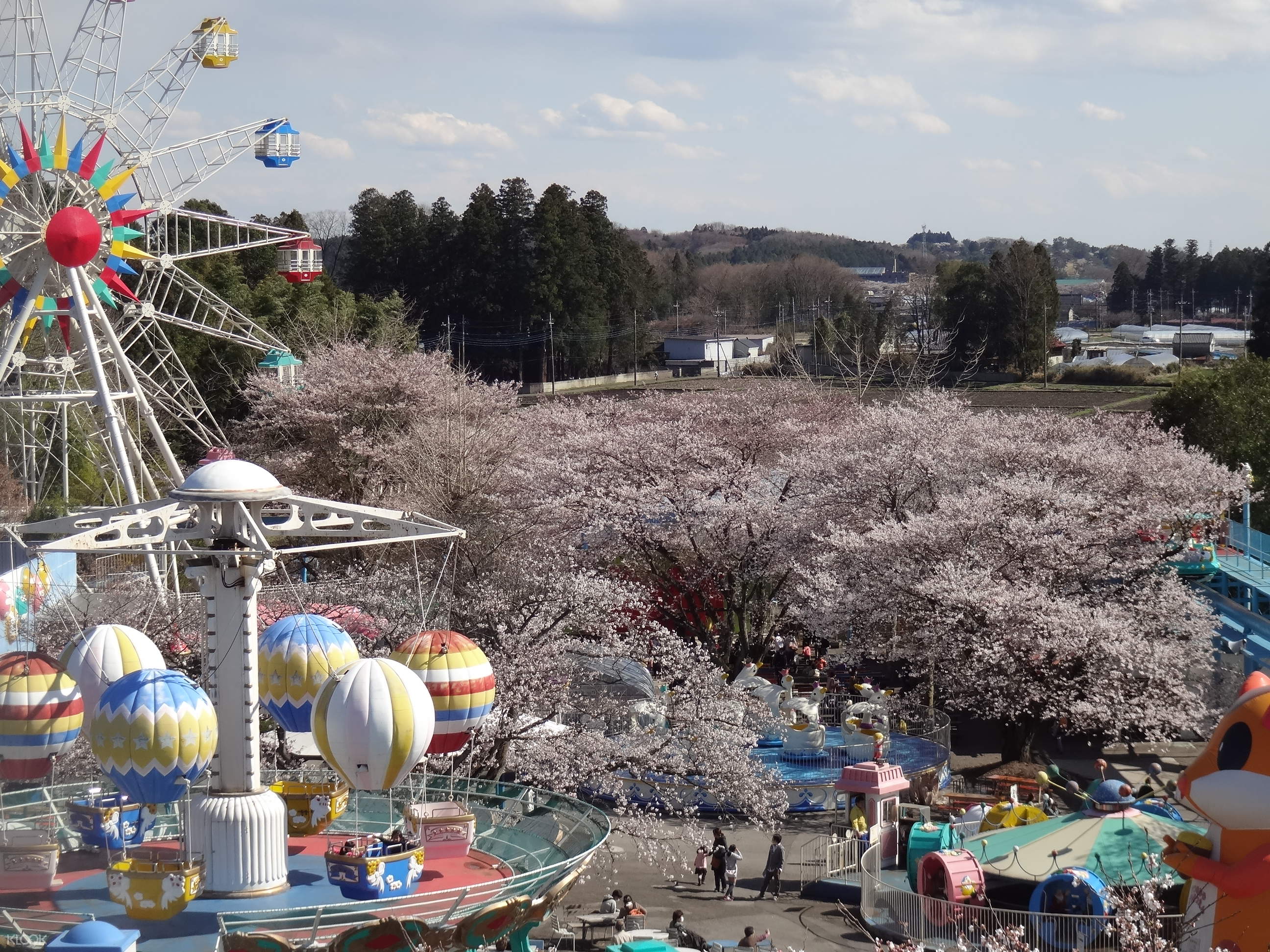 宇都宮動物園と遊園地の割引チケットの予約 Klook クルック 宇都宮動物園と遊園地の割引チケットの予約 Klook クルック