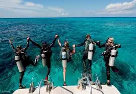 通过 PADI 开放水域潜水员课程潜入泰国迷人的水域——开启水下惊险刺激的冒险之旅。