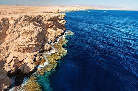 Petualangan Terpandu Setengah Hari ke Ras Mohamed dengan Bus - Sharm El Sheikh