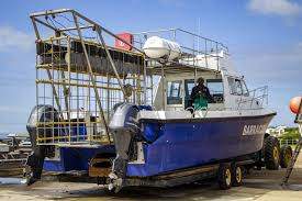 Shark & Crocodile Diving Combo