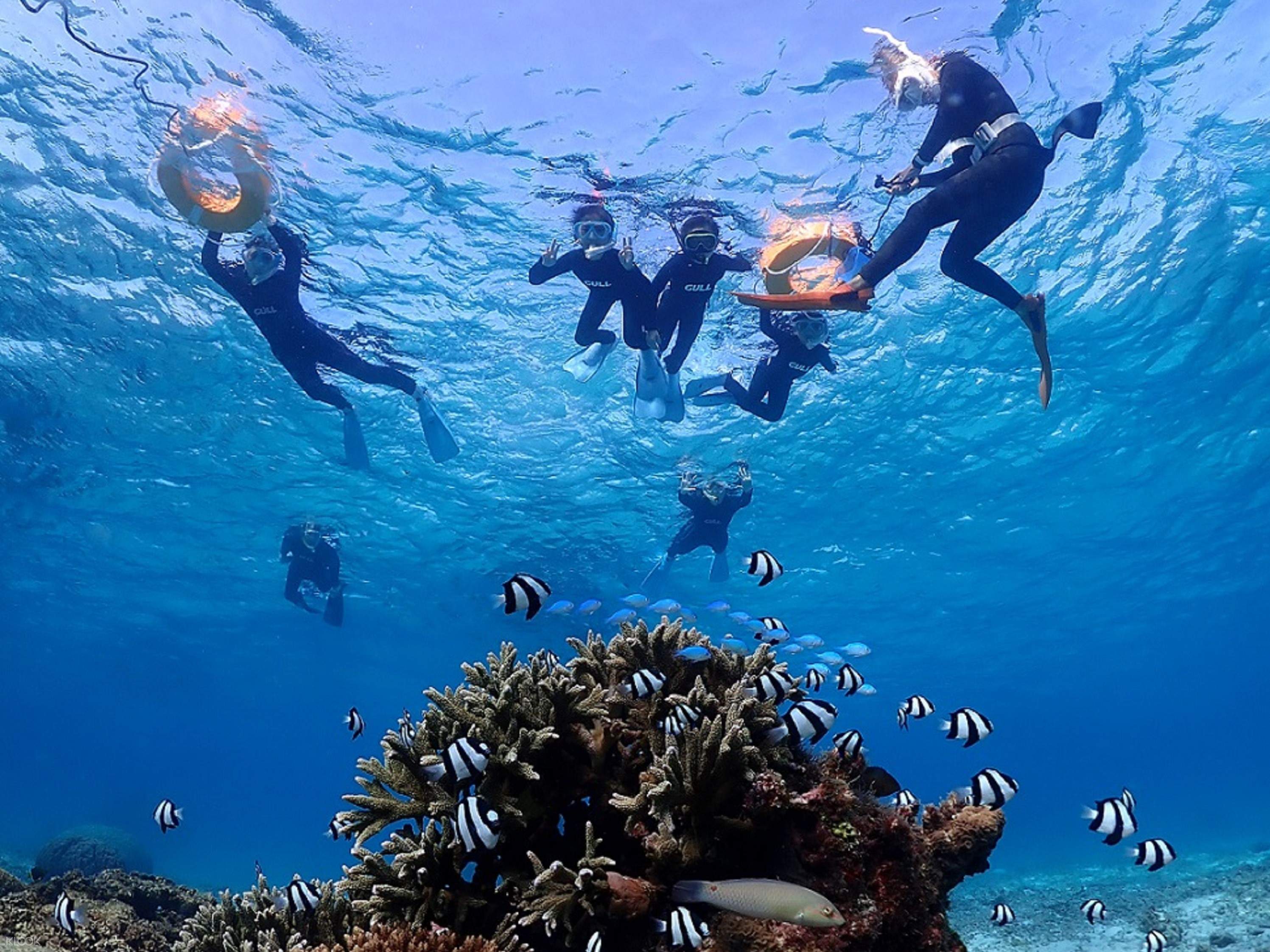宮古島 サンゴ礁で少人数制シュノーケリングツアー Klook クルック